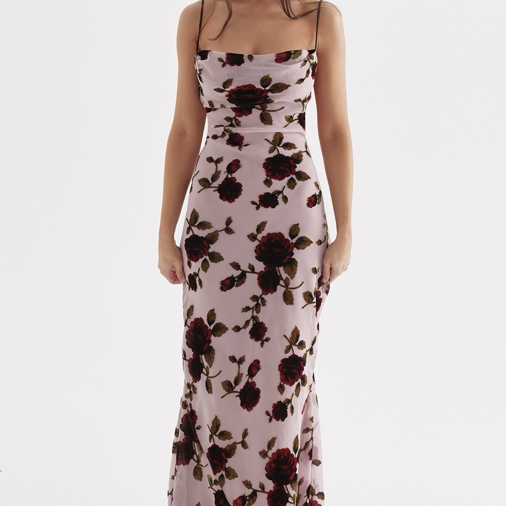 House of CB Serena Floral Velvet Burnout Maxi Dress - Picture 2 of 8